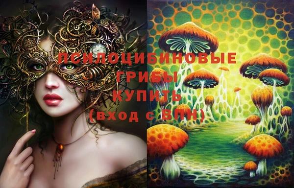 ешки Костерёво