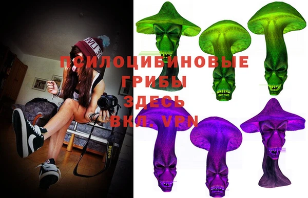 меф Коряжма