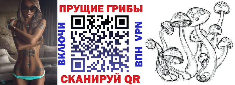 Галлюциногенные грибы ЛСД  Купить где  Невинномысск 