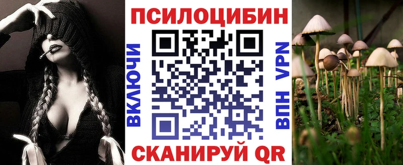 Галлюциногенные грибы Cubensis Невинномысск